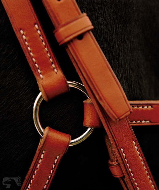 Saut Hermès 2010 | Press release | Luxury Equestrian Style